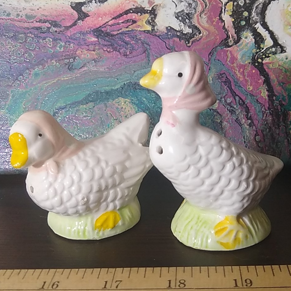 Unique Duck Salt & Pepper shakers